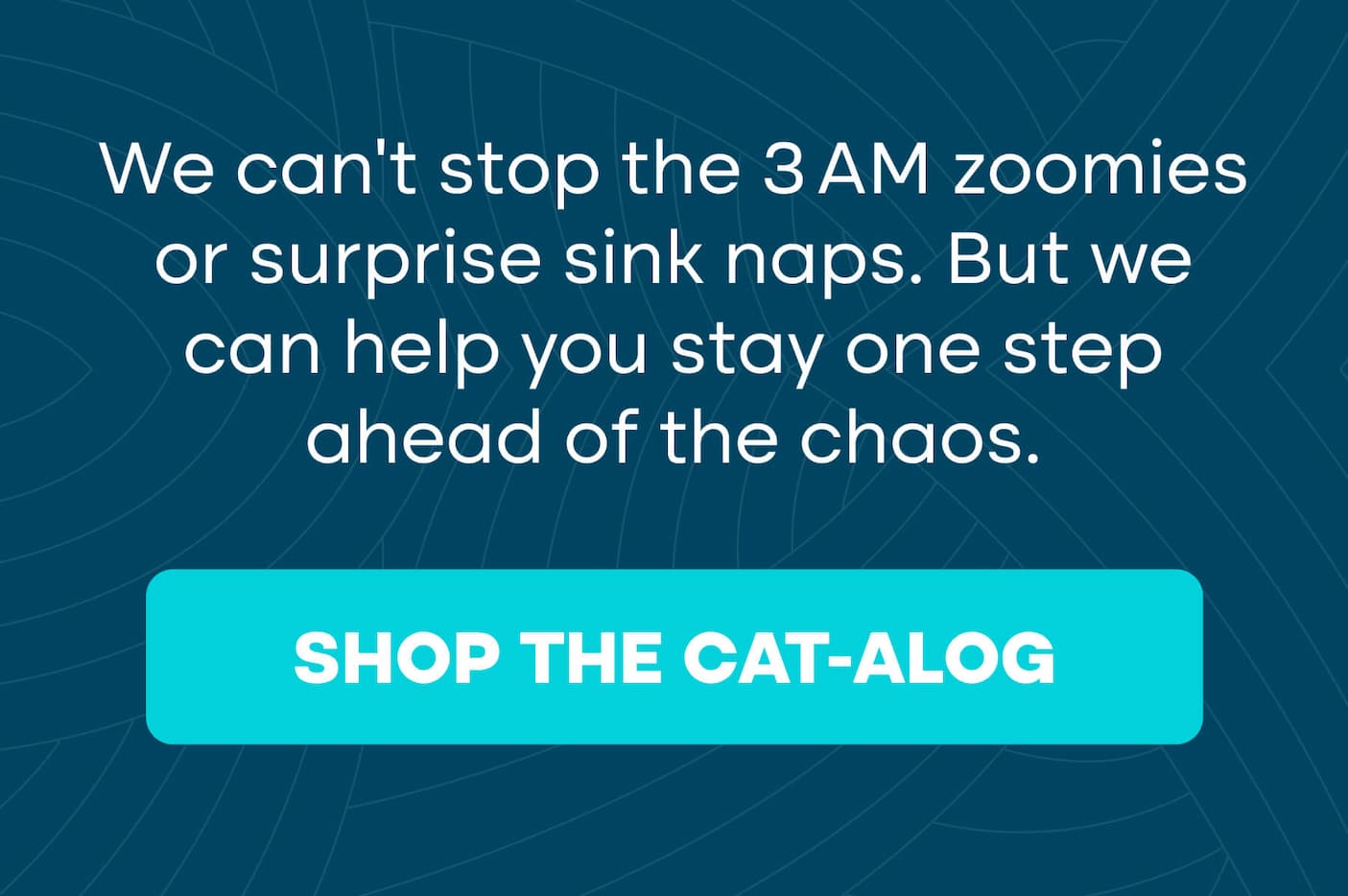 Best products for cats