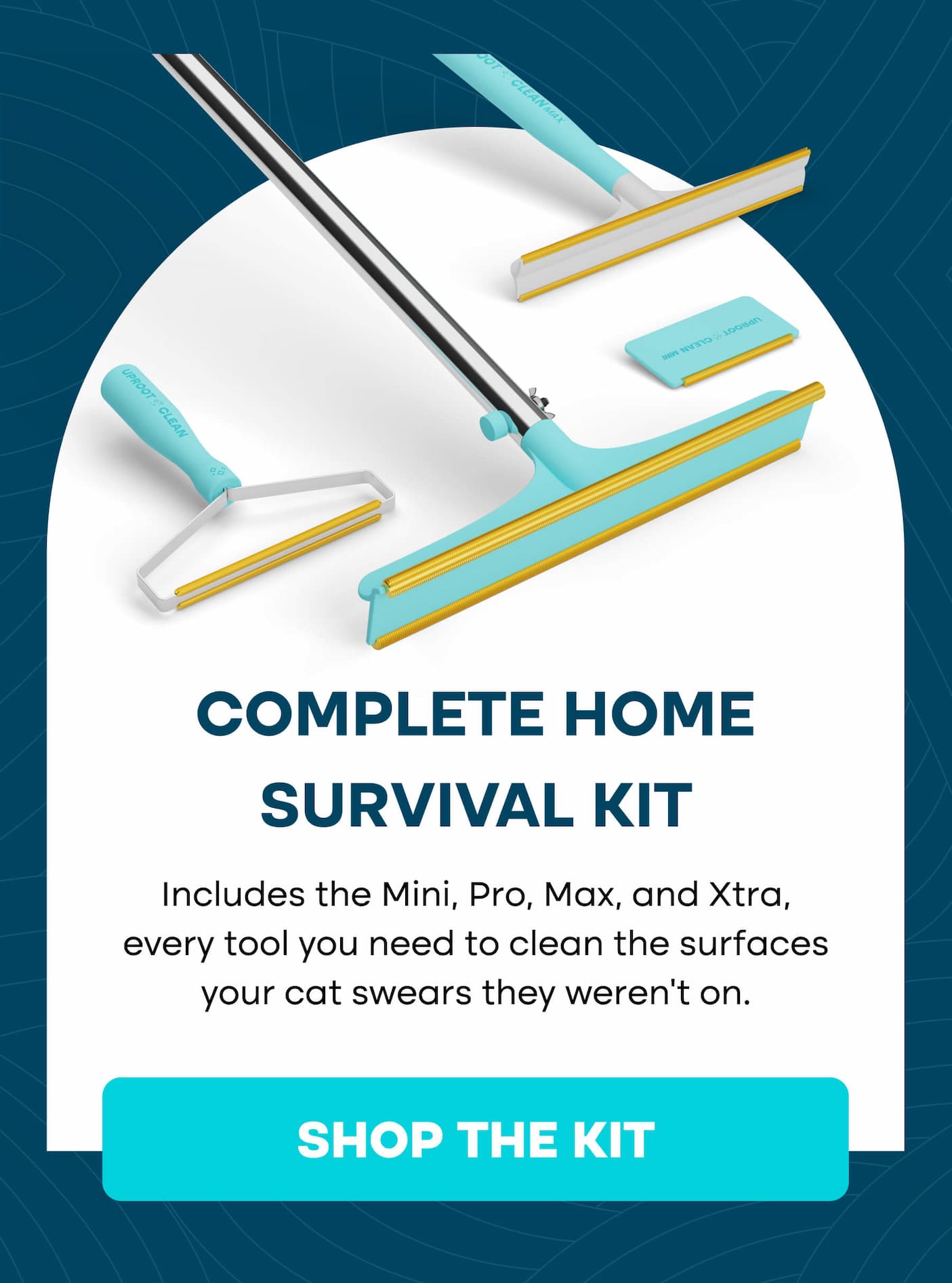 Best products for cats