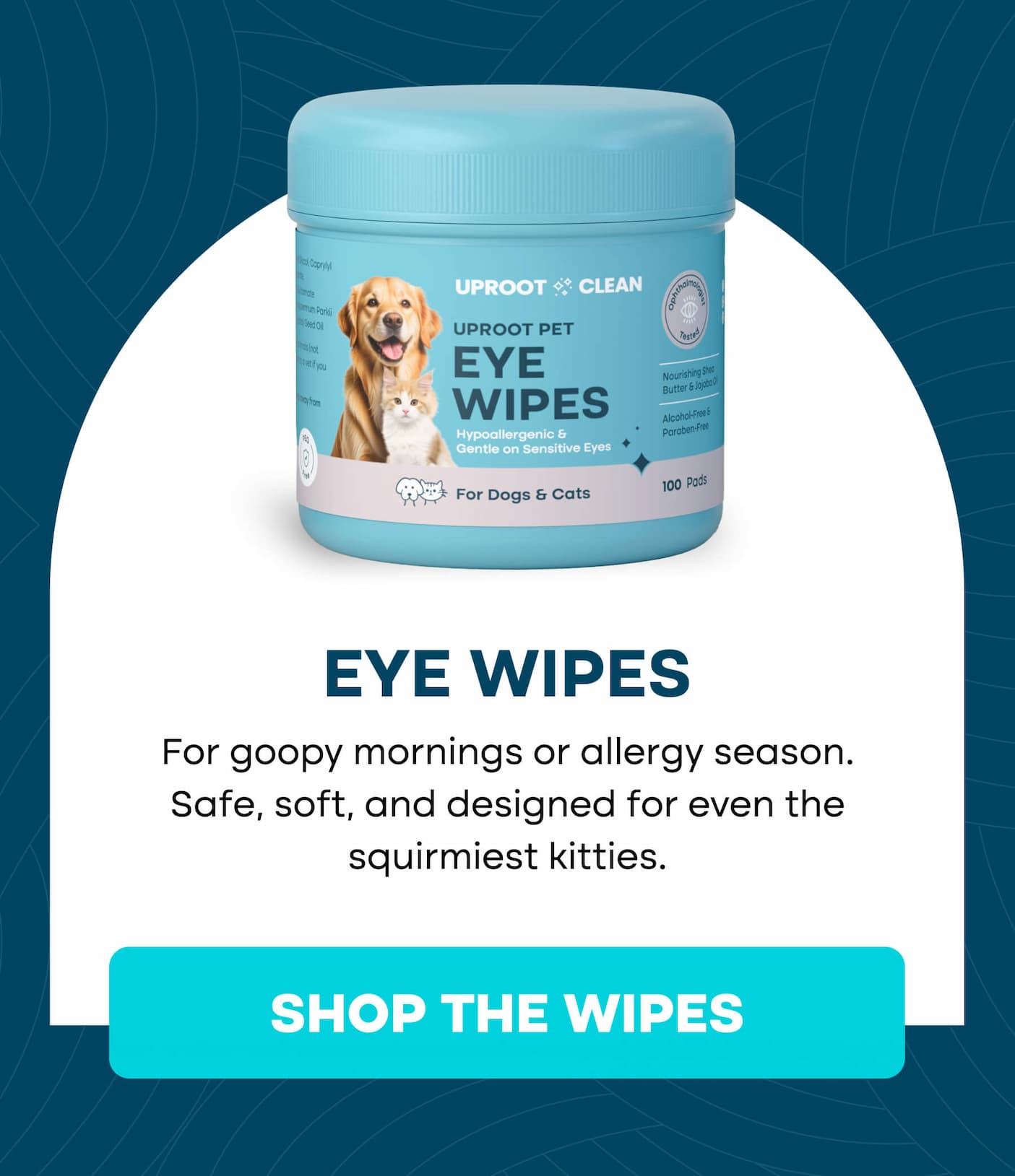 Best products for cats