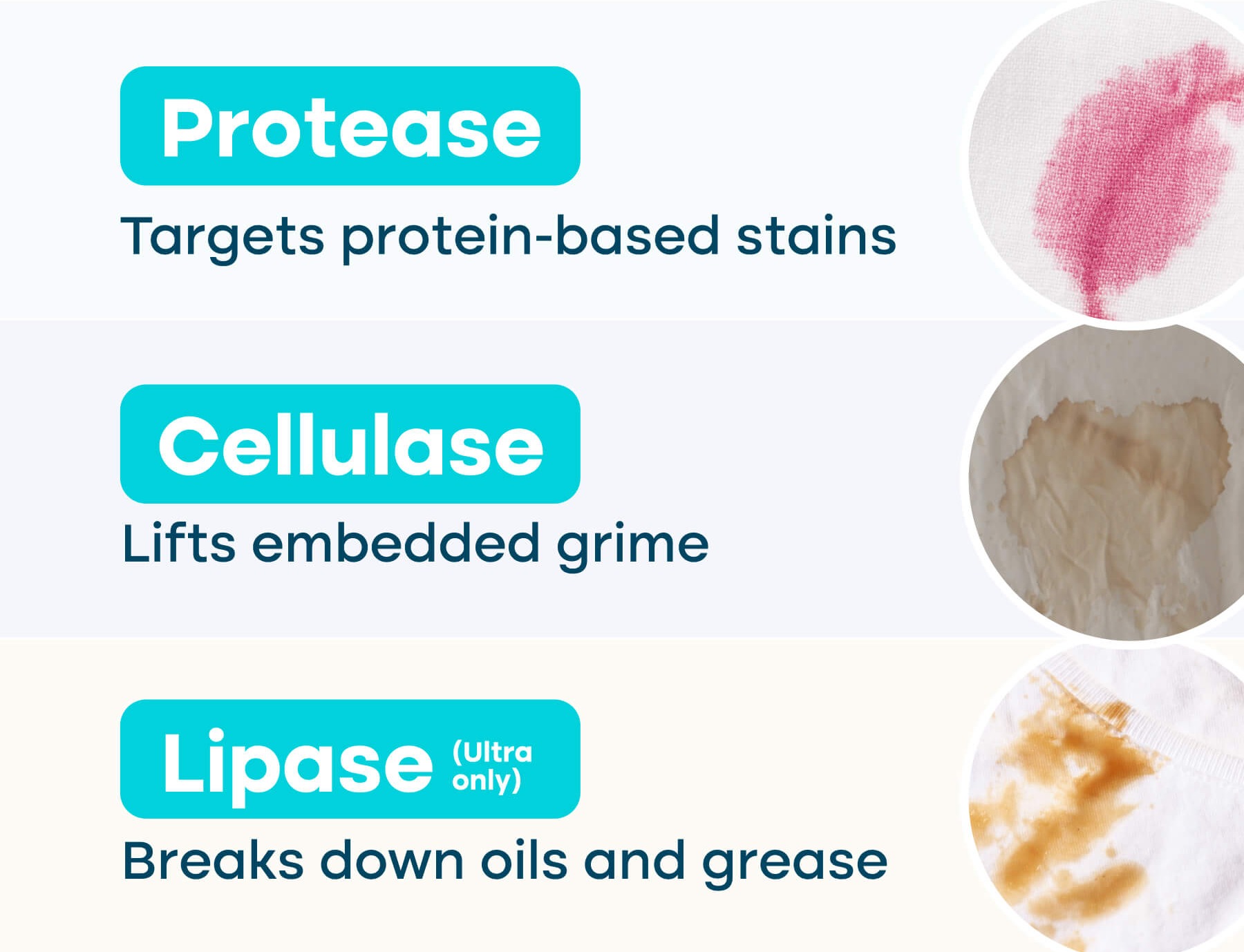 NEW Uproot Laundry Sheets