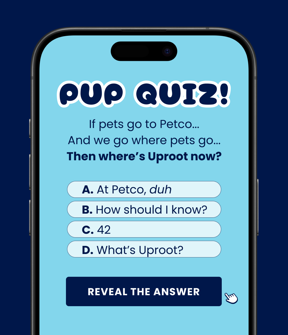 PUP QUIZ! If pets go to Petco... And we go where pets go... Then where's Uproot now? A. At Petco, duh B. How should I know? C. 42 D. What's Uproot? Show Me the Uproots!