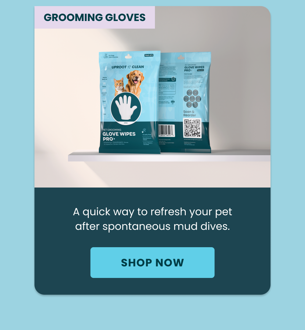 Grooming Gloves [ SHOP NOW ]