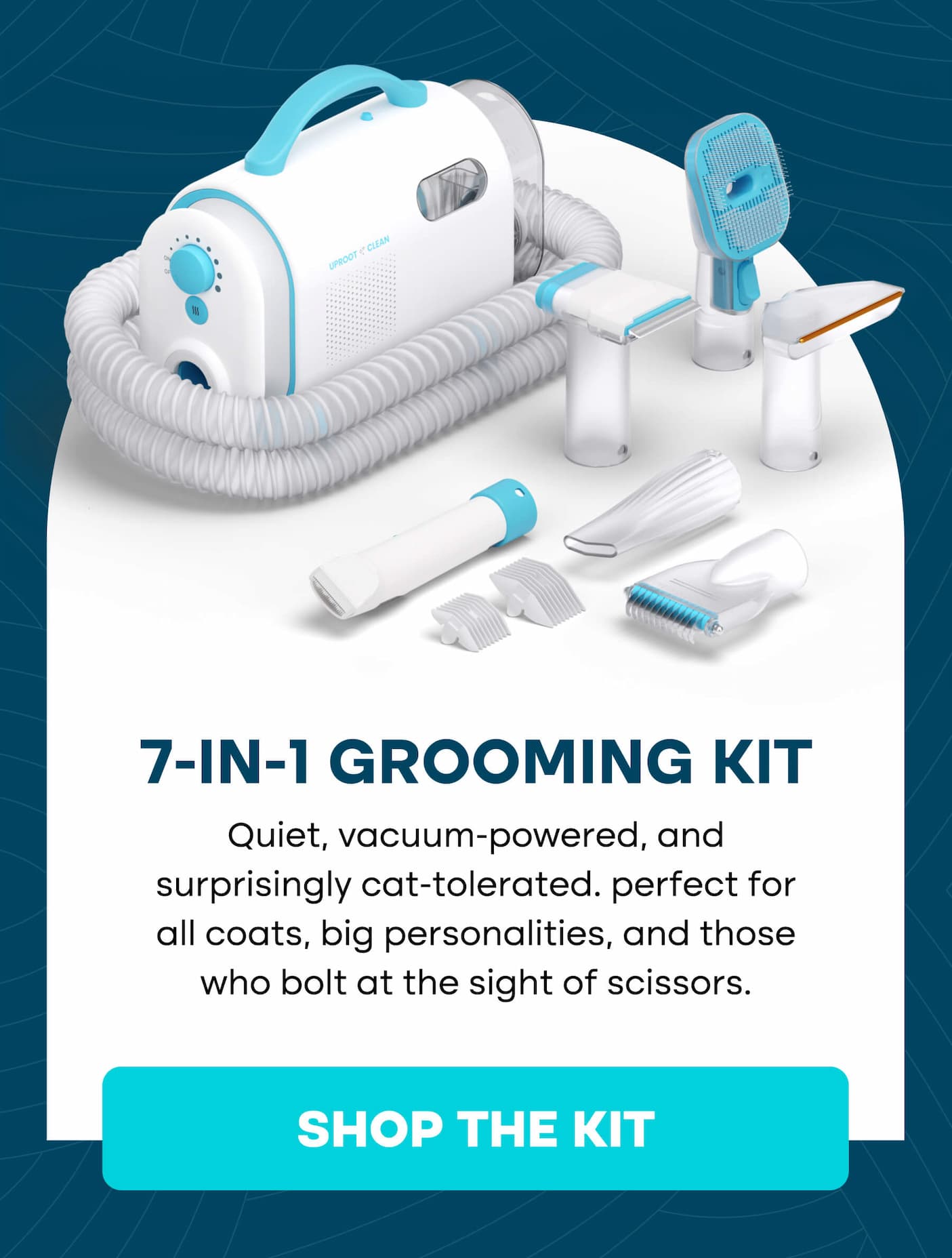 Best products for cats