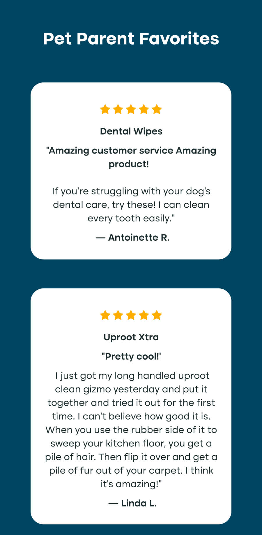 Pet Parent Favorites