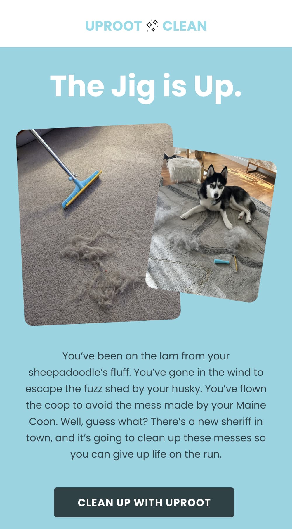 How to Hide Out from the Fuzz Uproot Clean