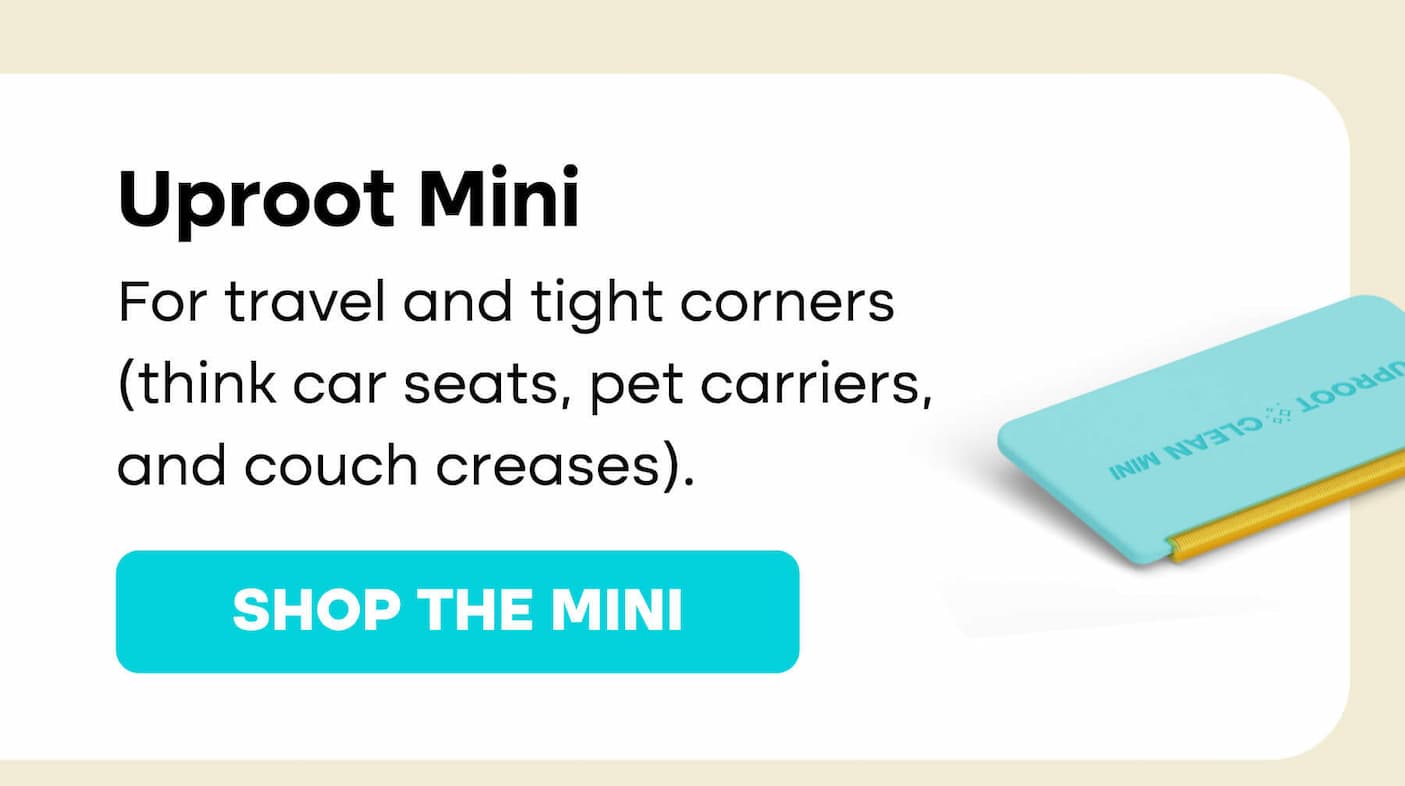 You left your groomer in the cart