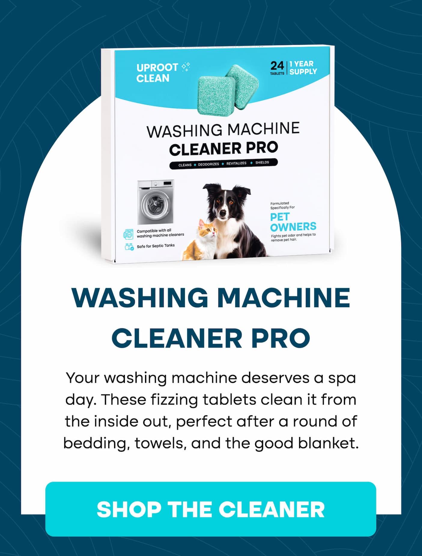 Best products for cats