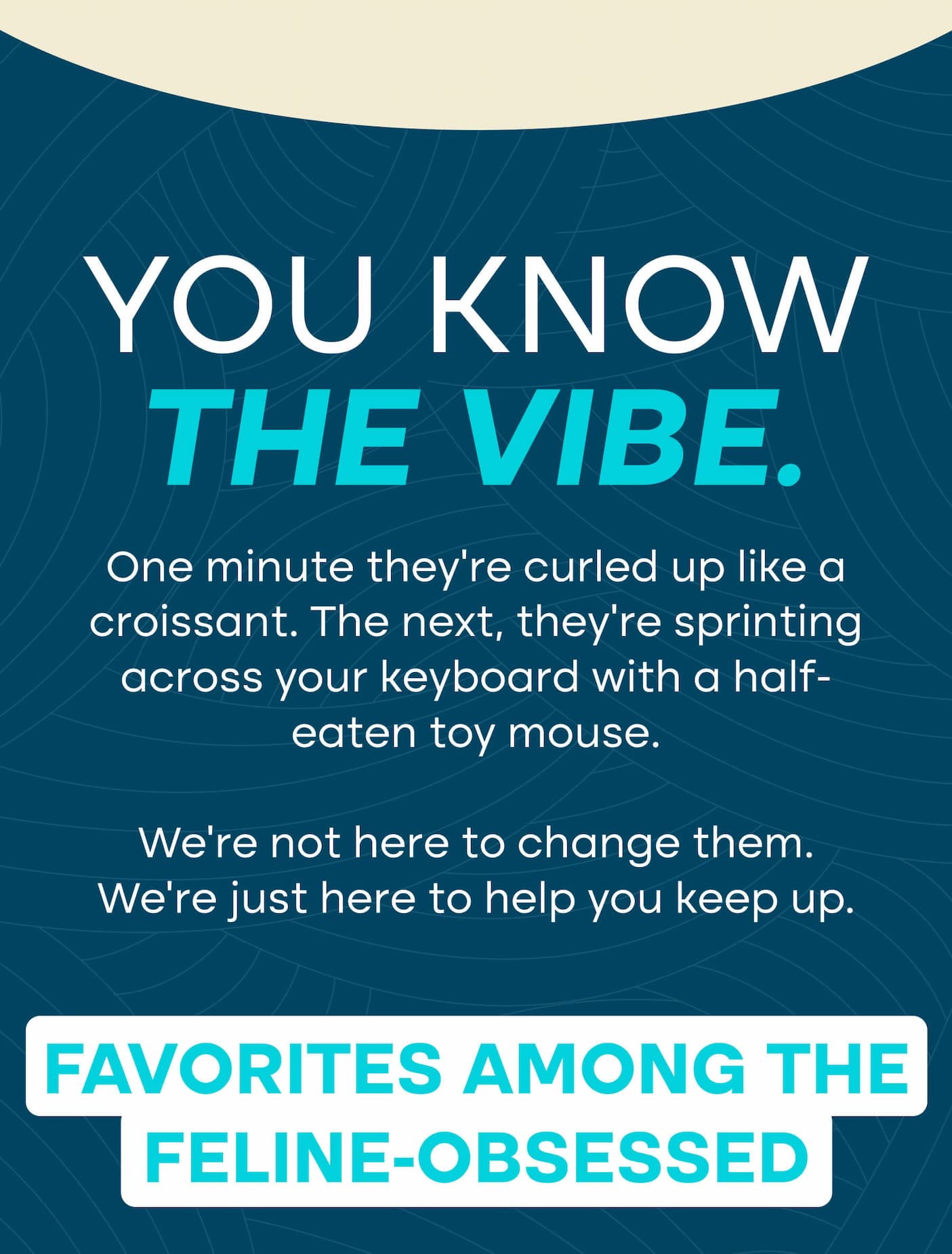 Best products for cats