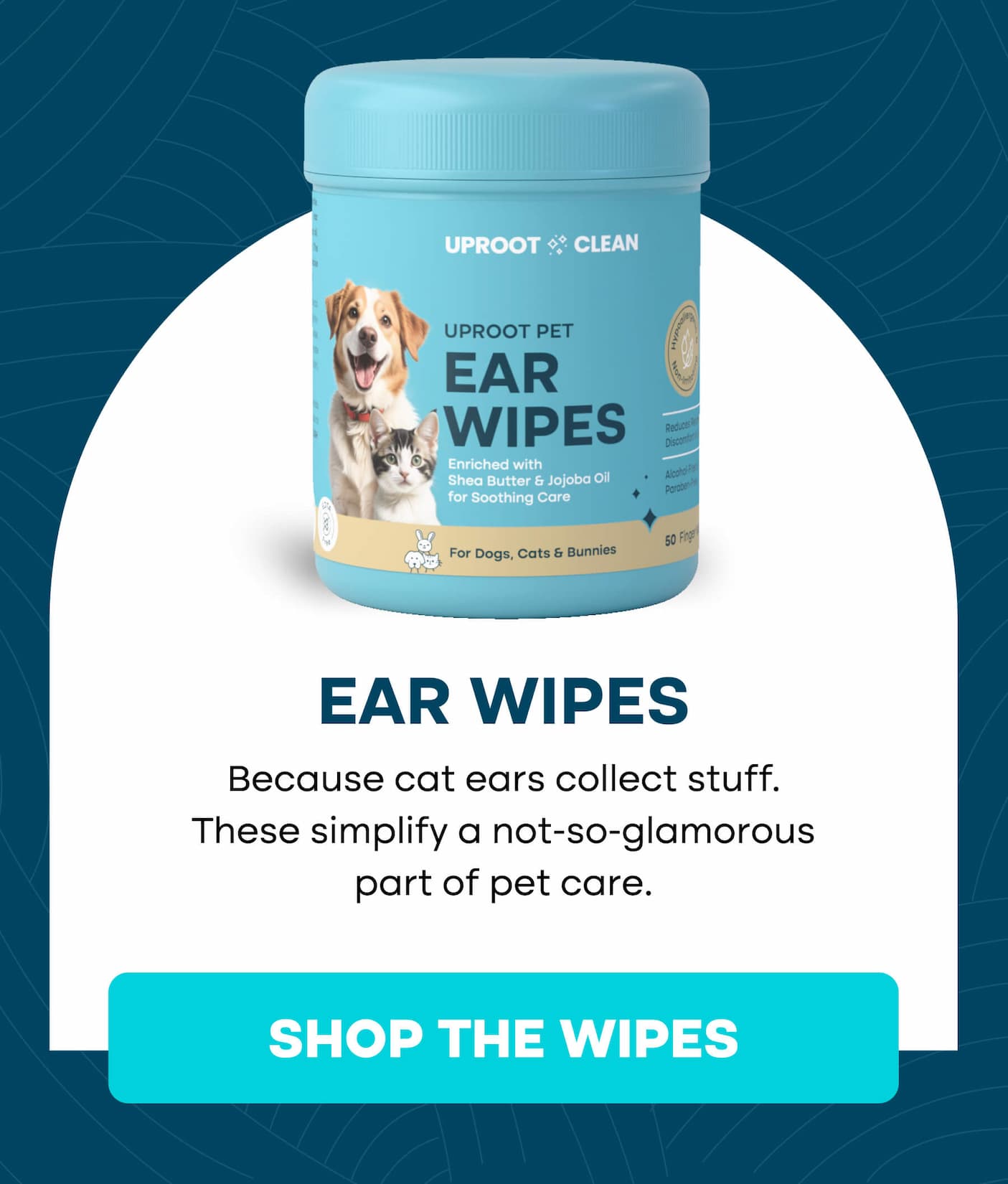 Best products for cats