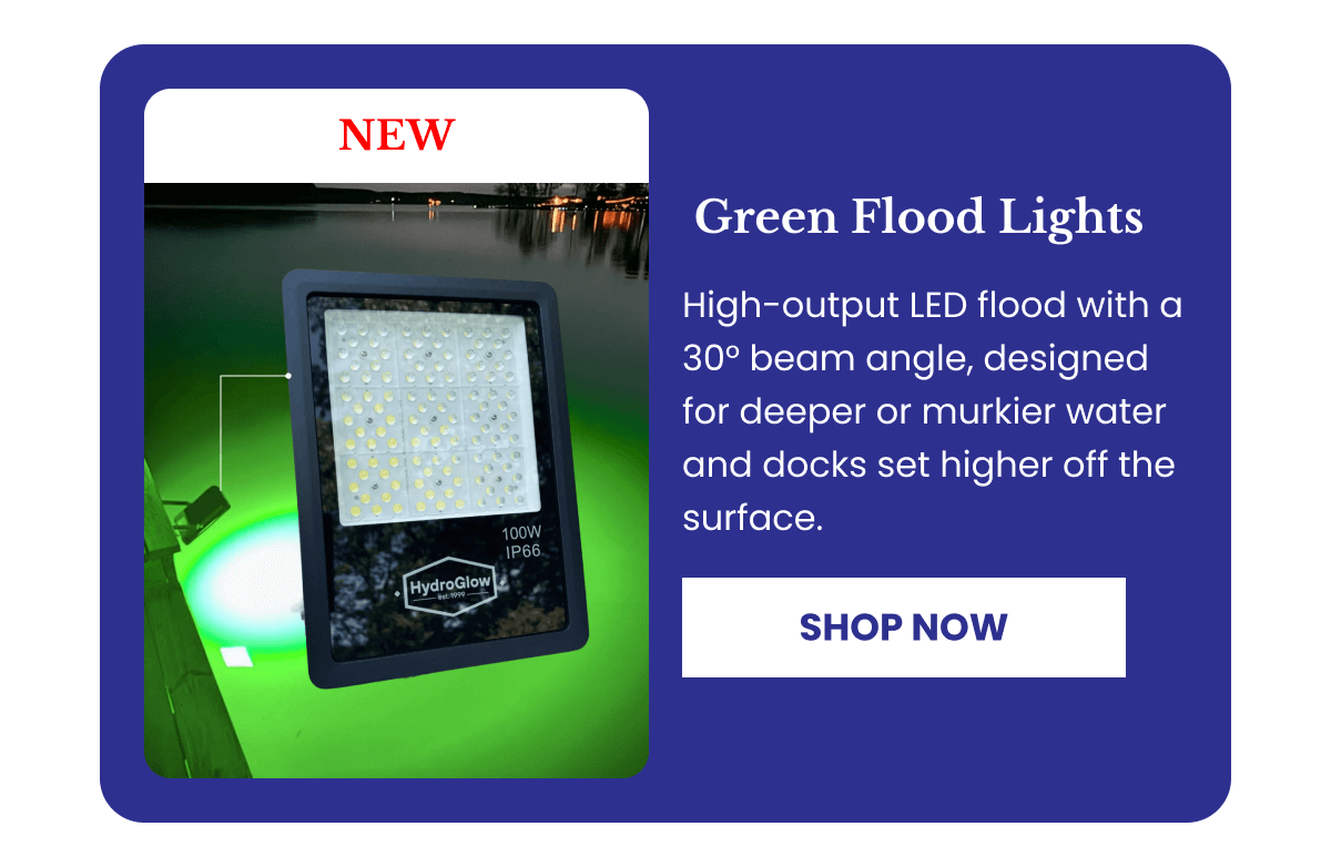 Green LED flood light for docks with focused beam