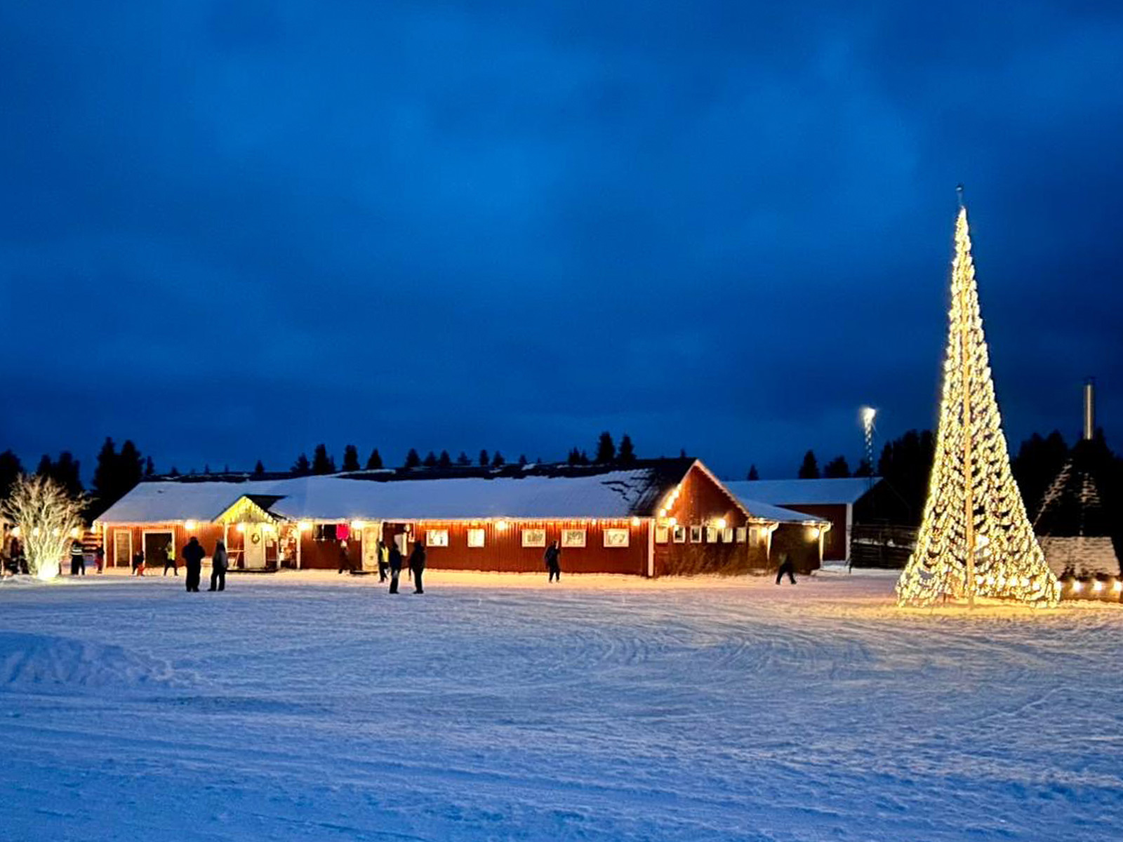 Lapland day trips