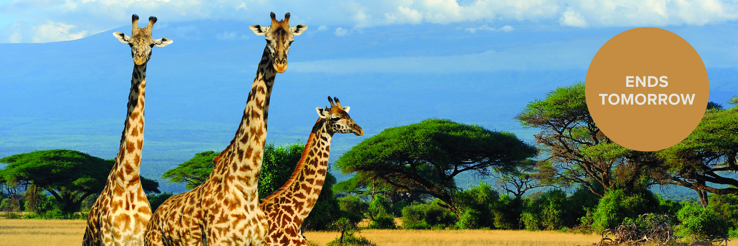 Last chance: Up to 15% off award-winning tours