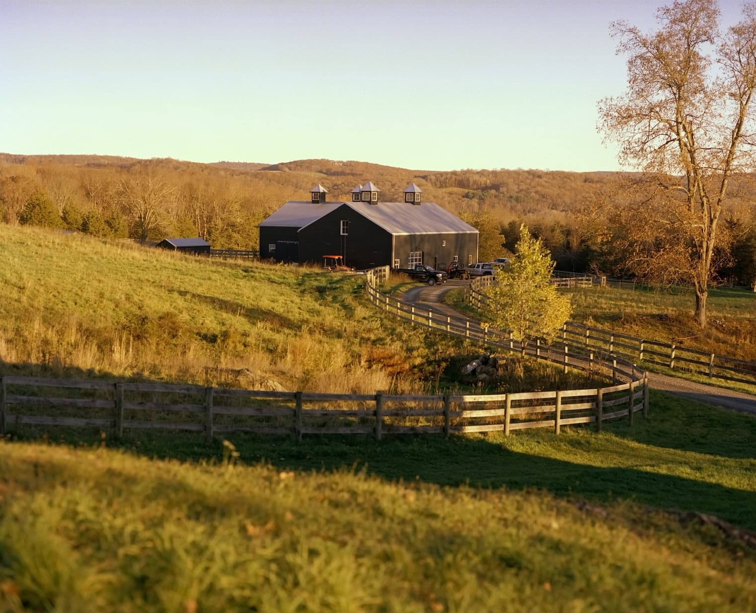Sky High Farm Goods newsletter