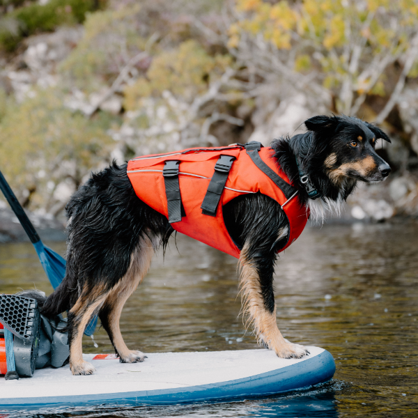 Red Original Insulated Stainless SteelDrinks Bottle on the beach