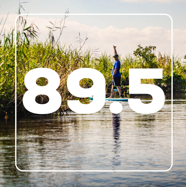 Man from Love The Oceans charity paddleboarding