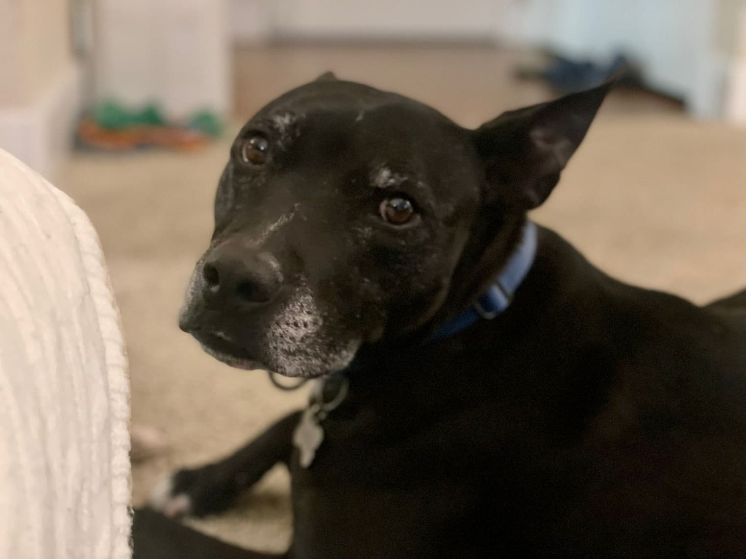 young buddha and me on adoption day