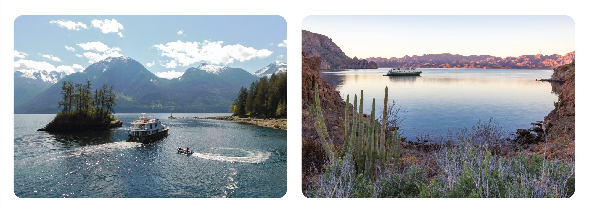 Safari Quest in Alaska & Safari Voyager in Mexico | UnCruise Adventures