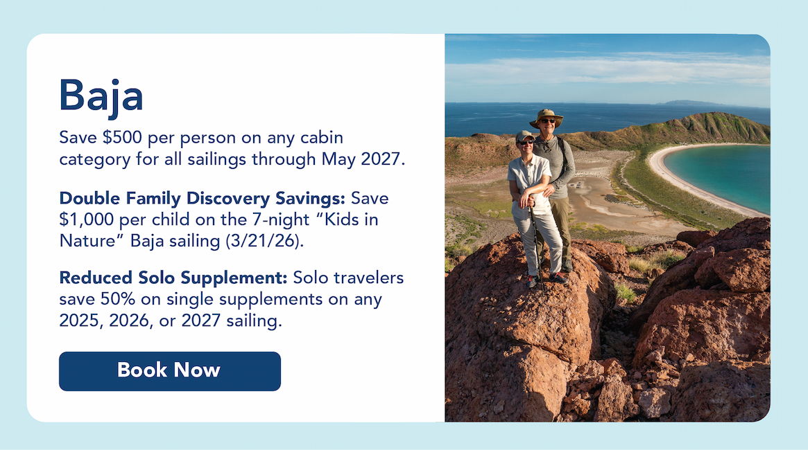 Baja Specials | UnCruise Adventures