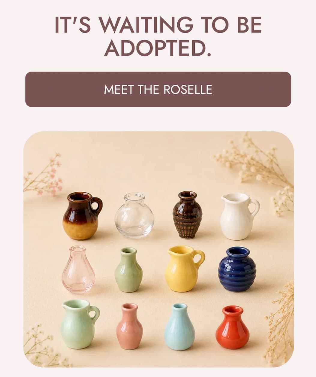 It's Waiting To Be Adopted.