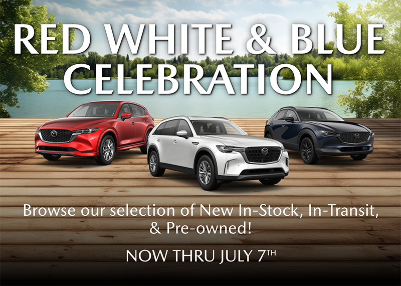 Red White & Blue Celebration