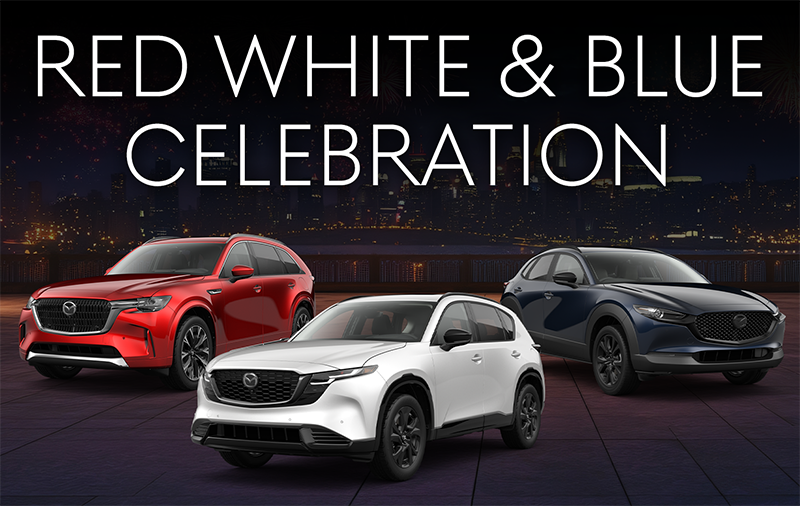 Red White & Blue Celebration