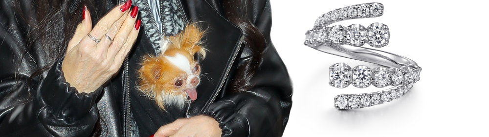 14K White Gold Double Row Diamond Bypass Ladies Ring