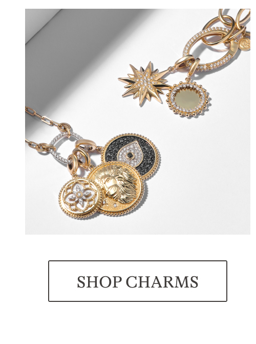 Shop Charms