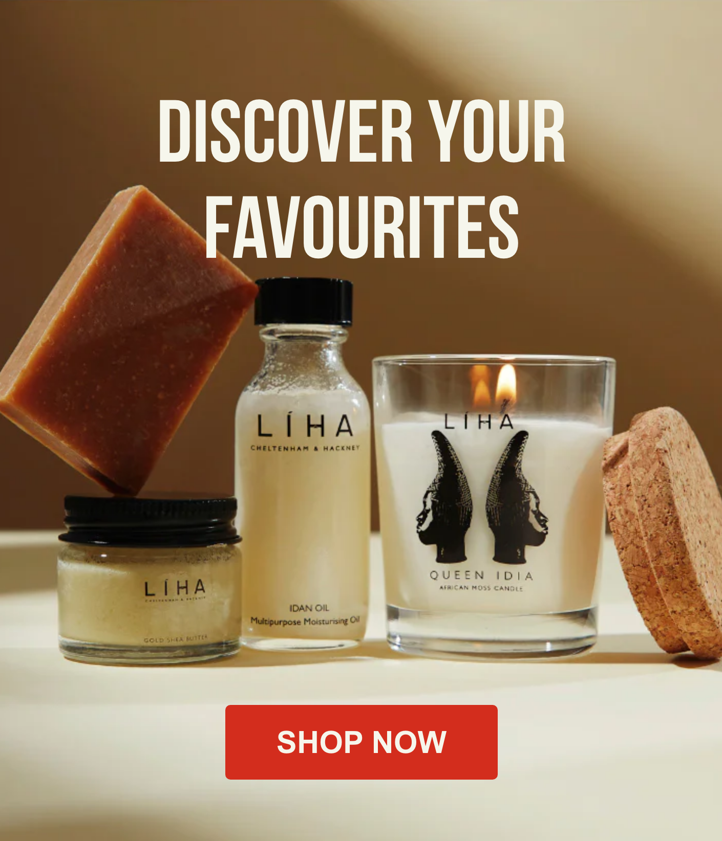 Image of the LIHA Discovery Kit