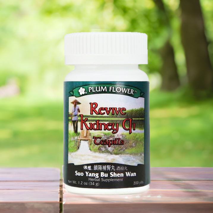 Revive Kidney Qi