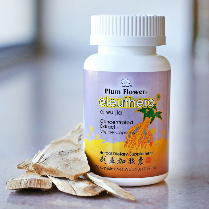 Eleuthero Ci Wu Jia: A Valuable Adaptogen