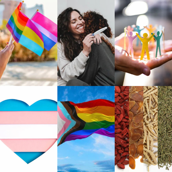 More LGBTQIA+ TCM Articles 