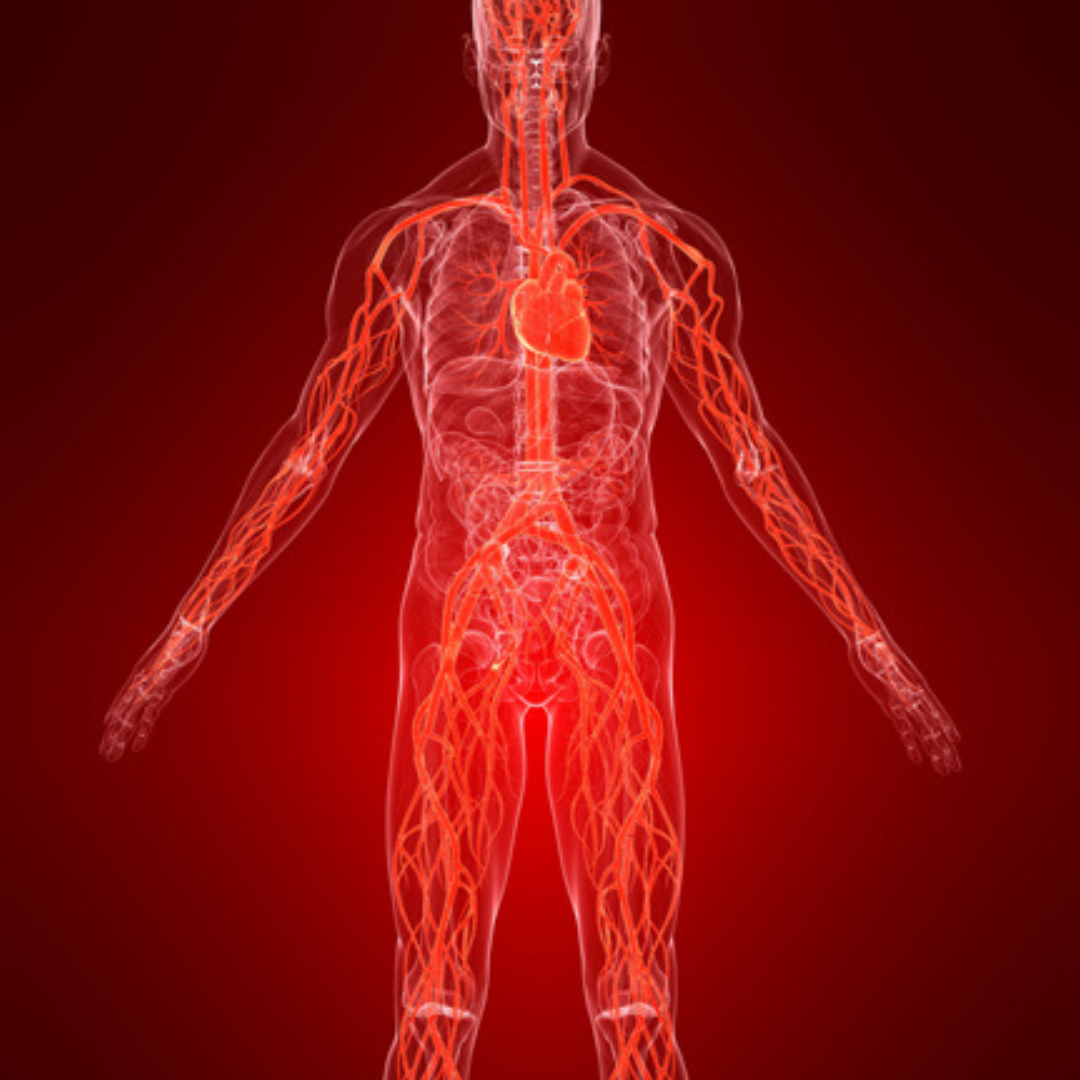 Heat and Inflammation