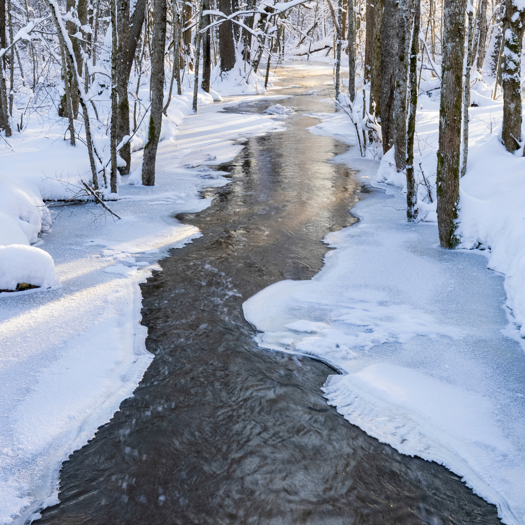 The Water Element in TCM