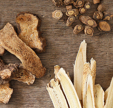 Protect them with Jade Windscreen