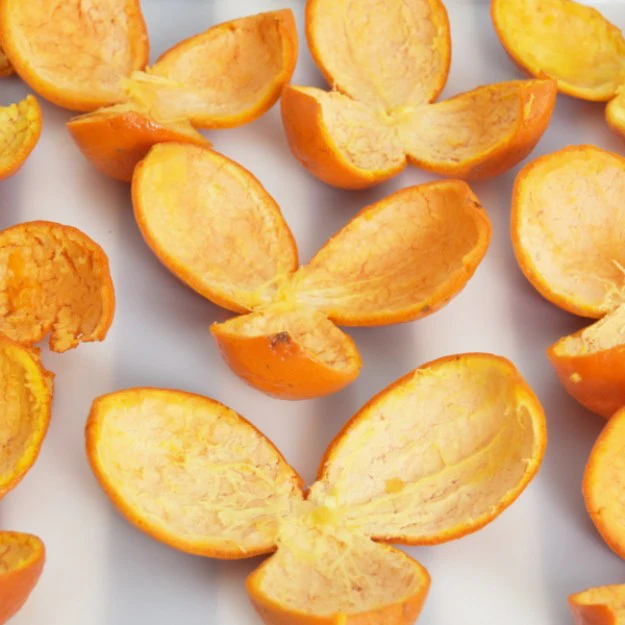 Making Organic Chen Pi for Your Clinic