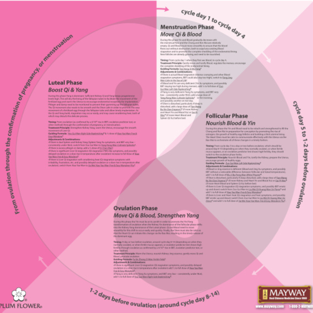 Optimizing Female Fertility with Prepared Chinese Medicines