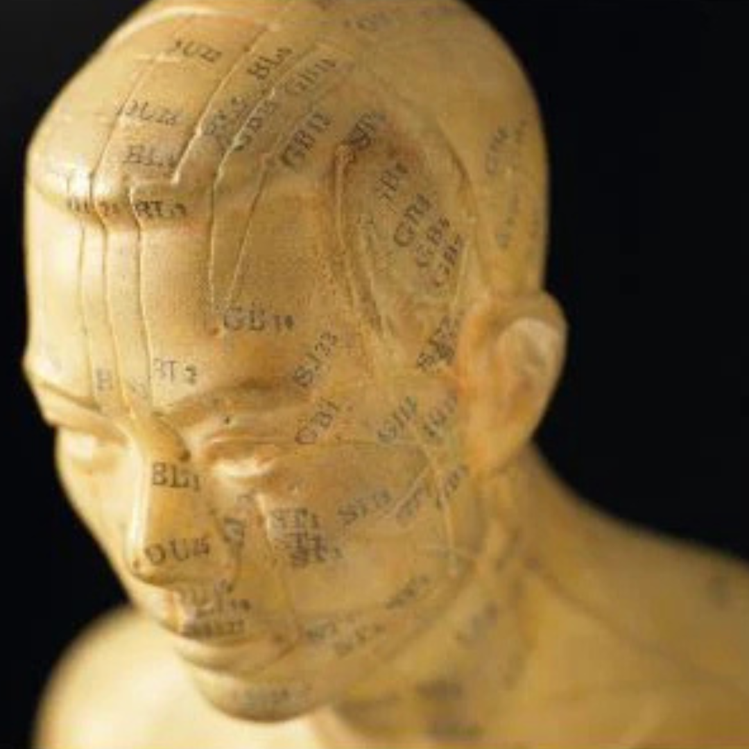 Using Master Tung’s Gallbladder Points for Diseases of the Head and Neck