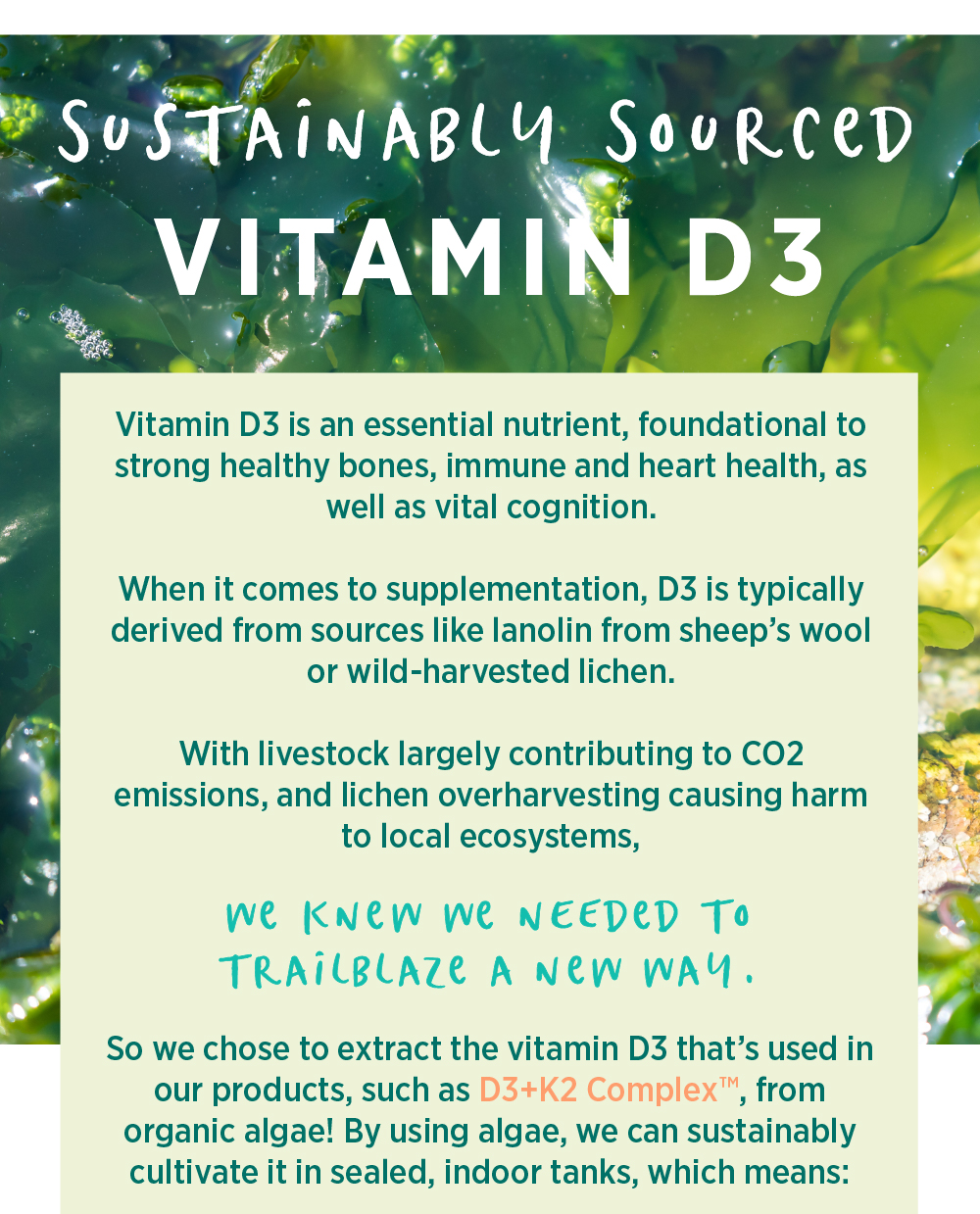 What sets our vegan vitamin D3 apart? Pure Synergy