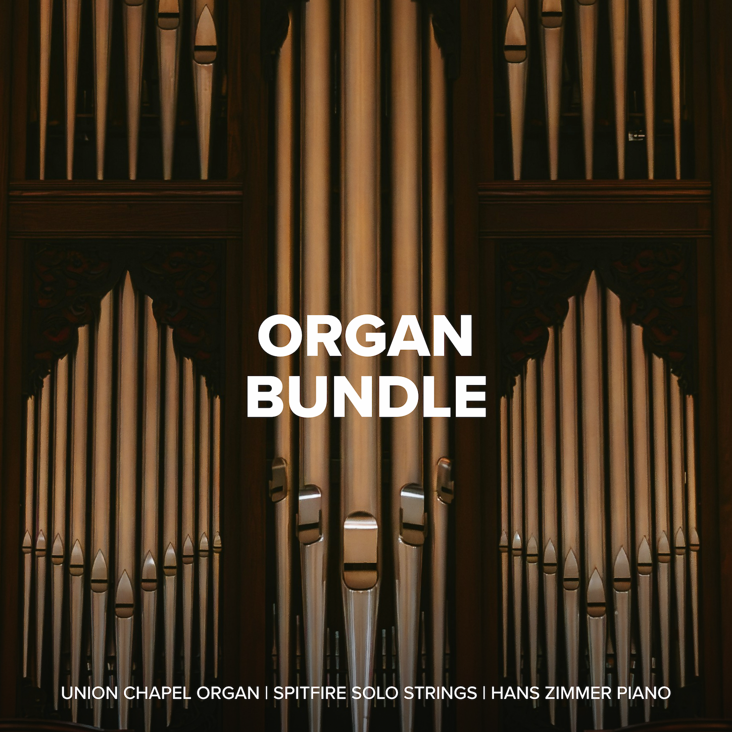 Organ bundle