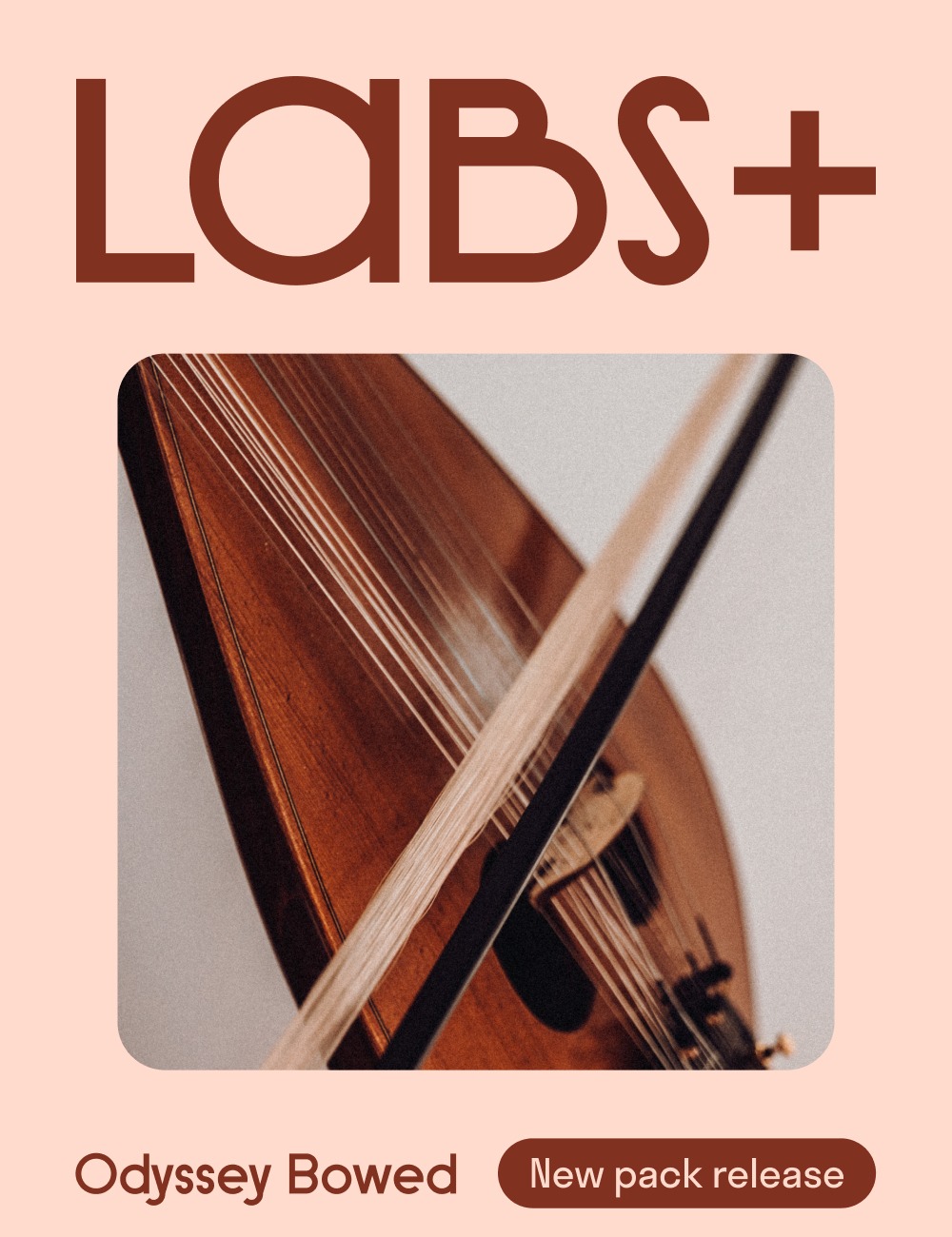 LABS+