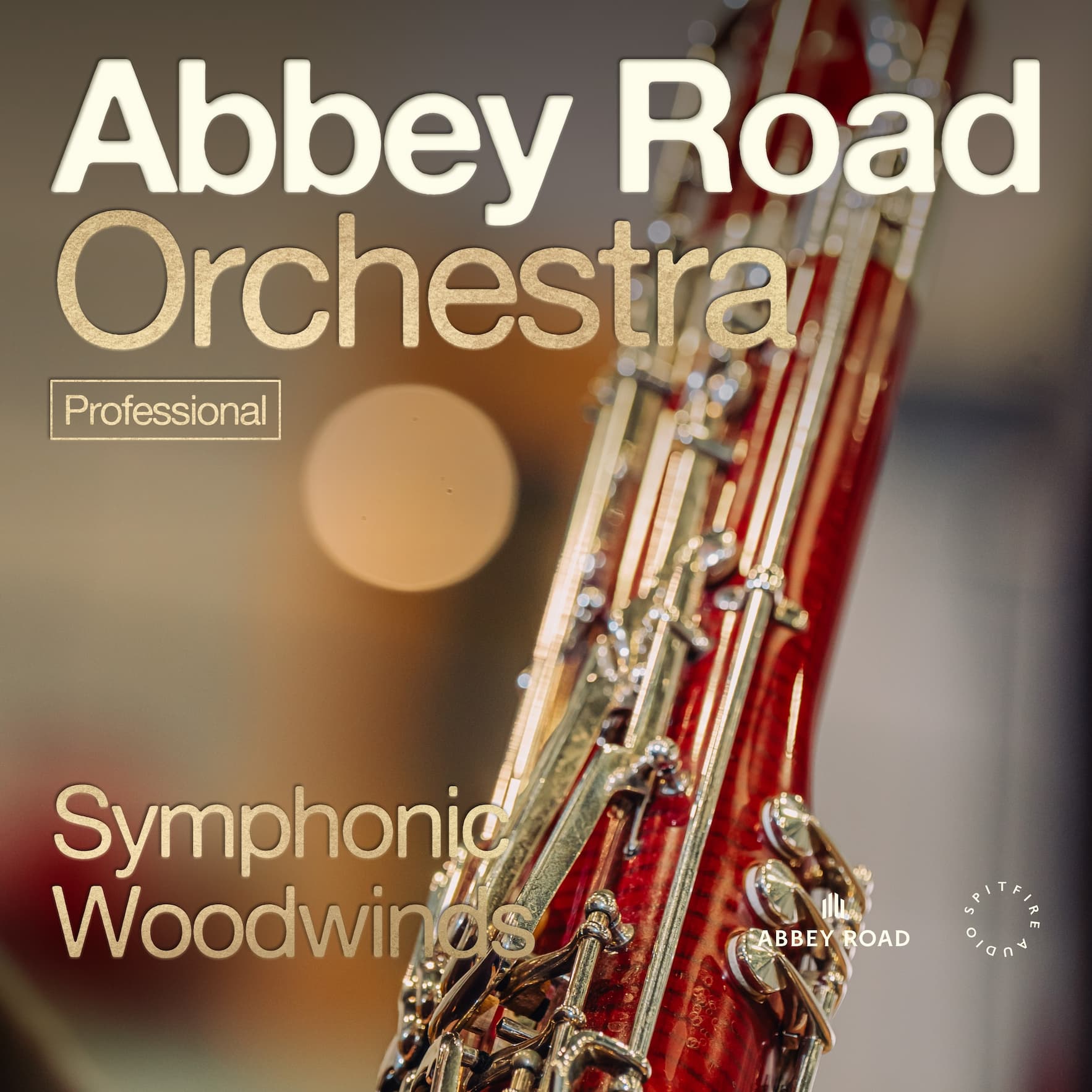 ARO Symphonic Woodwinds Professional