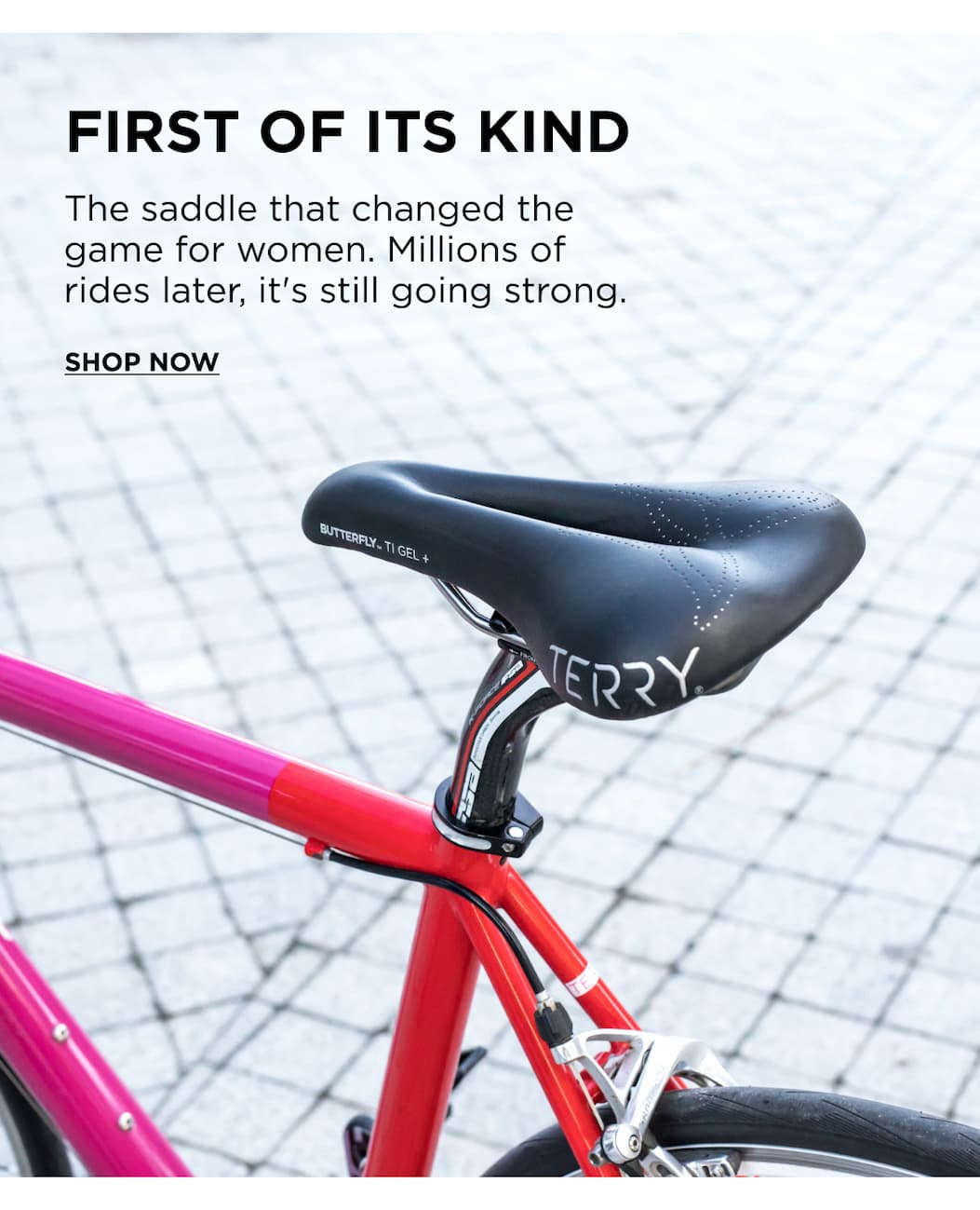 First of its kind- saddles