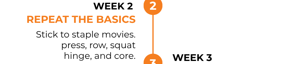 Week 2: Repeat the basics