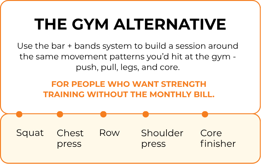 THE GYM ALTERNATIVE