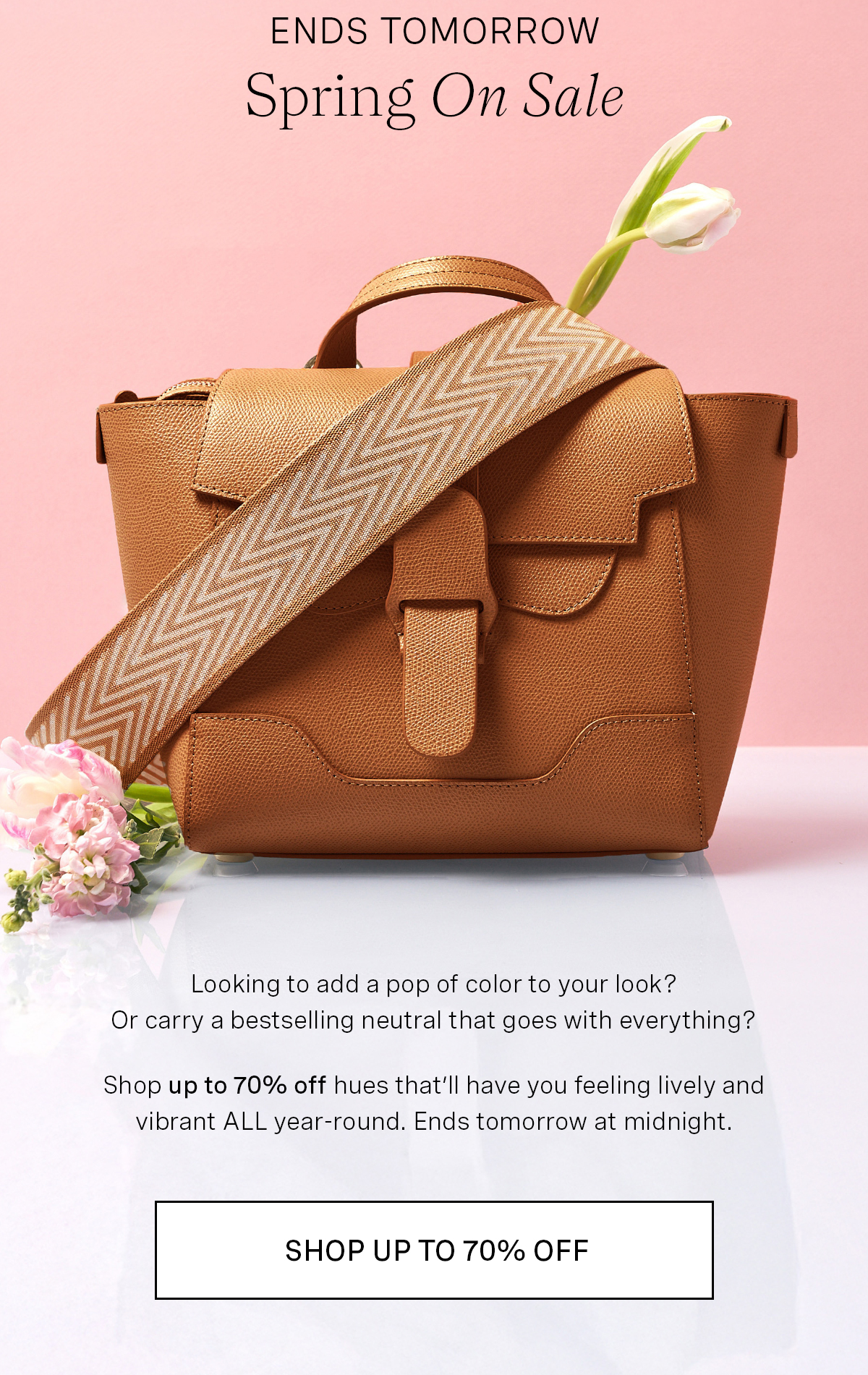 Spring Palette Sale - Color