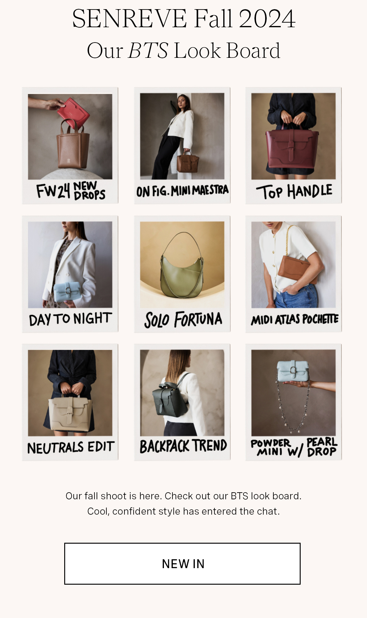 New Arrivals