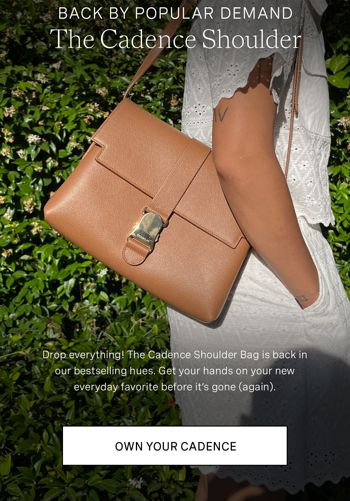 Cadence Shoulder Handbag