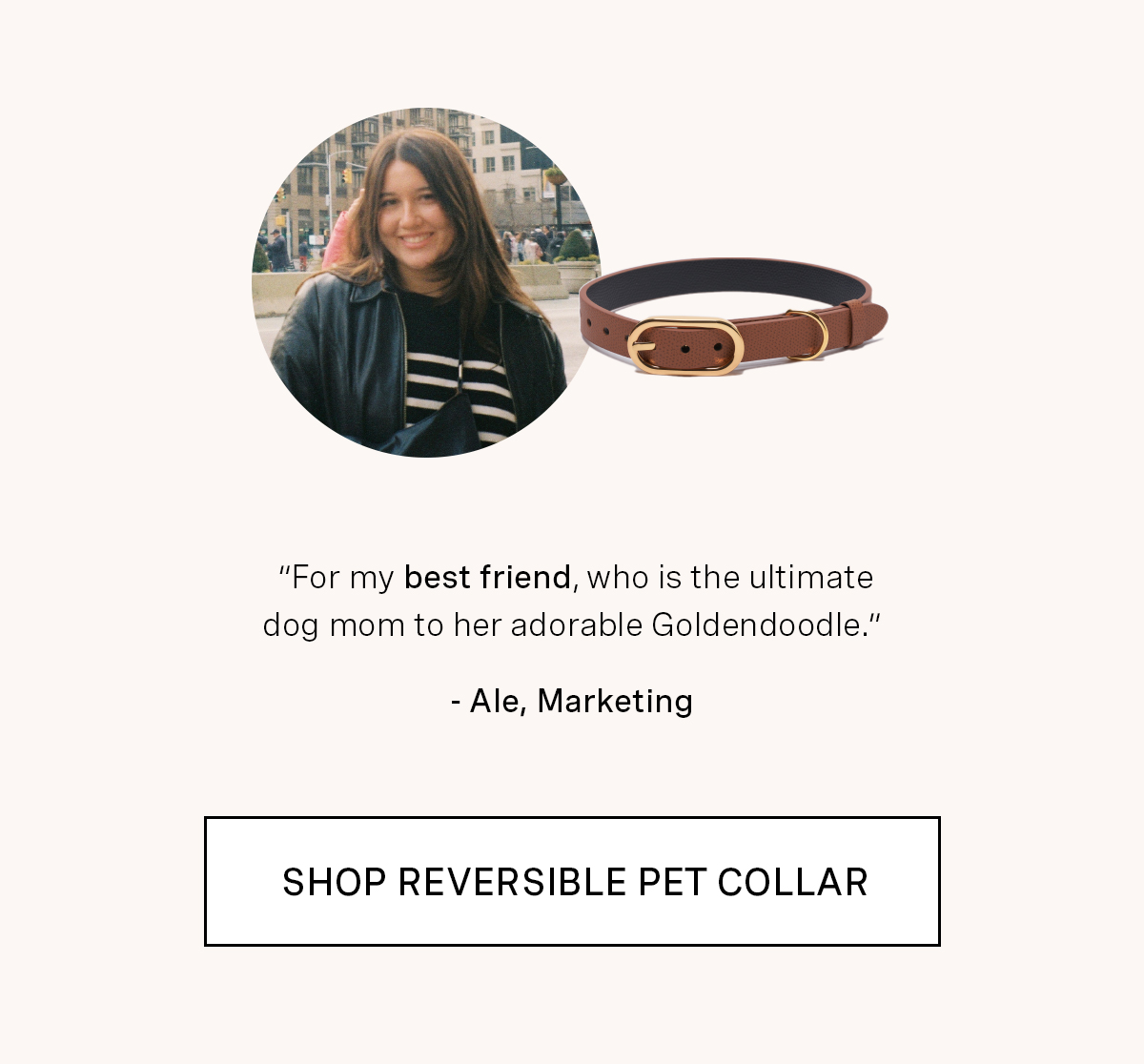 Reversible Dog Collar