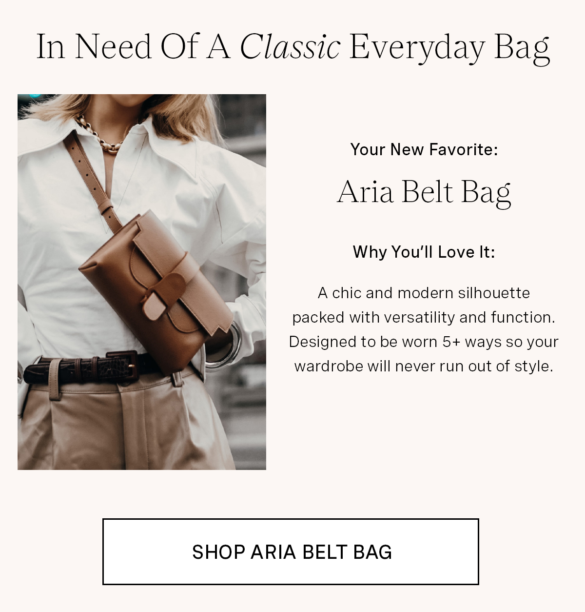 Aria Belt Bag in Chestnut