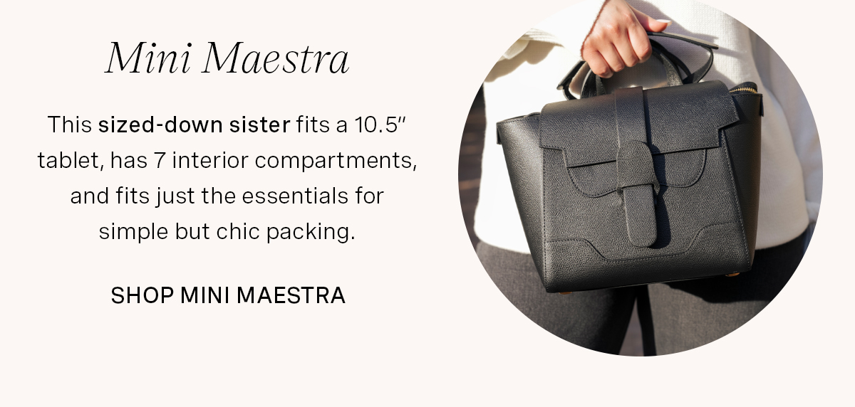 Mini Maestra 